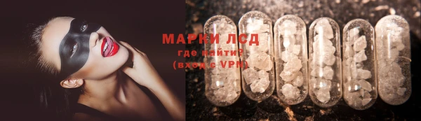 ПСИЛОЦИБИНОВЫЕ ГРИБЫ Баксан