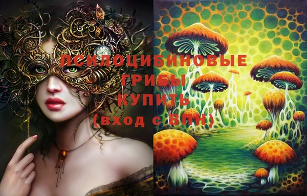 ПСИЛОЦИБИНОВЫЕ ГРИБЫ Баксан